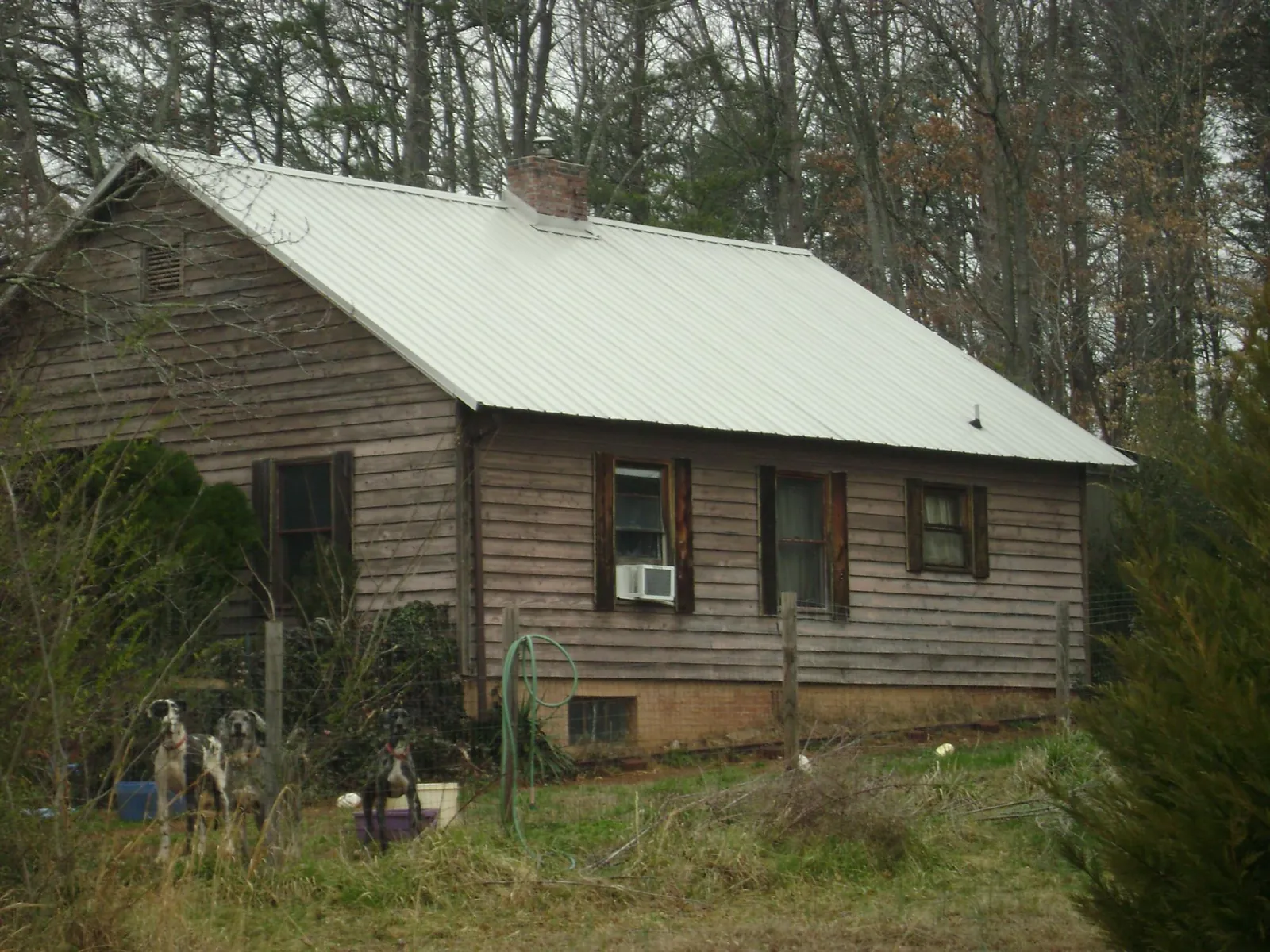 White metal roof on an old wood sided farmhouse, from a Asphalt Shingle Roof Repair job in Springdale